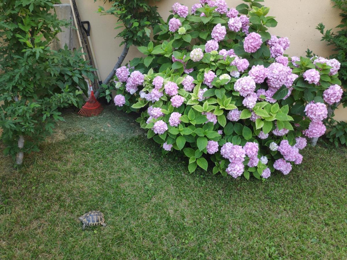 Spacious Apartment With Big Garden Near Beach Split Luaran gambar